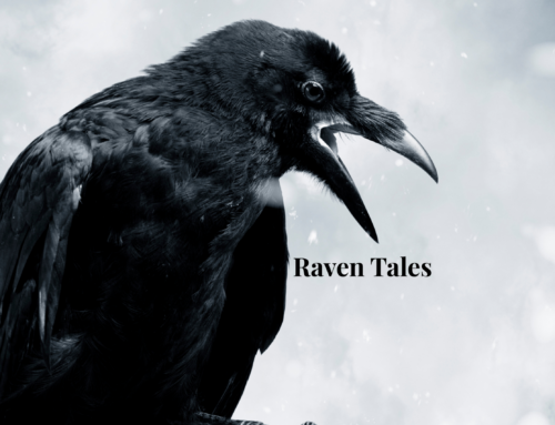 A Raven, a Moment, and What Followed