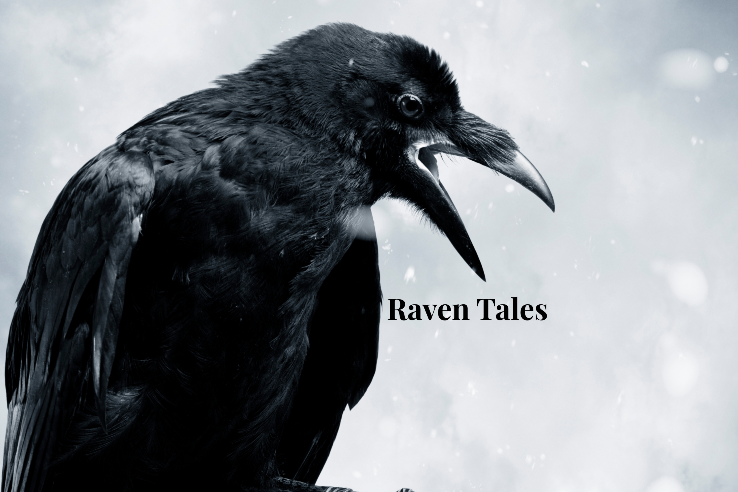 Raven Tales