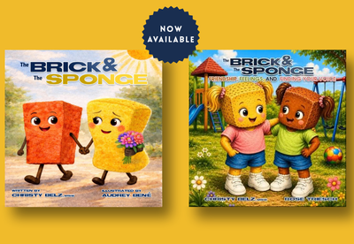 Brick and Sponge Book Christy Belz